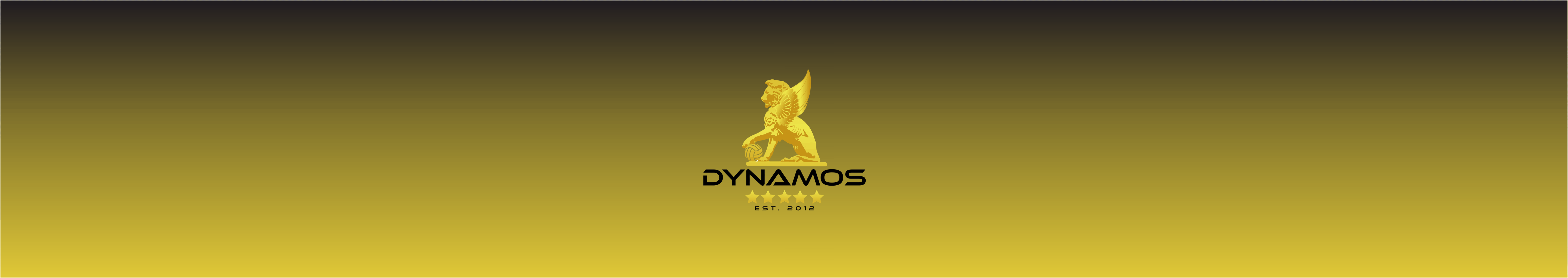 Dynamos Volleyball