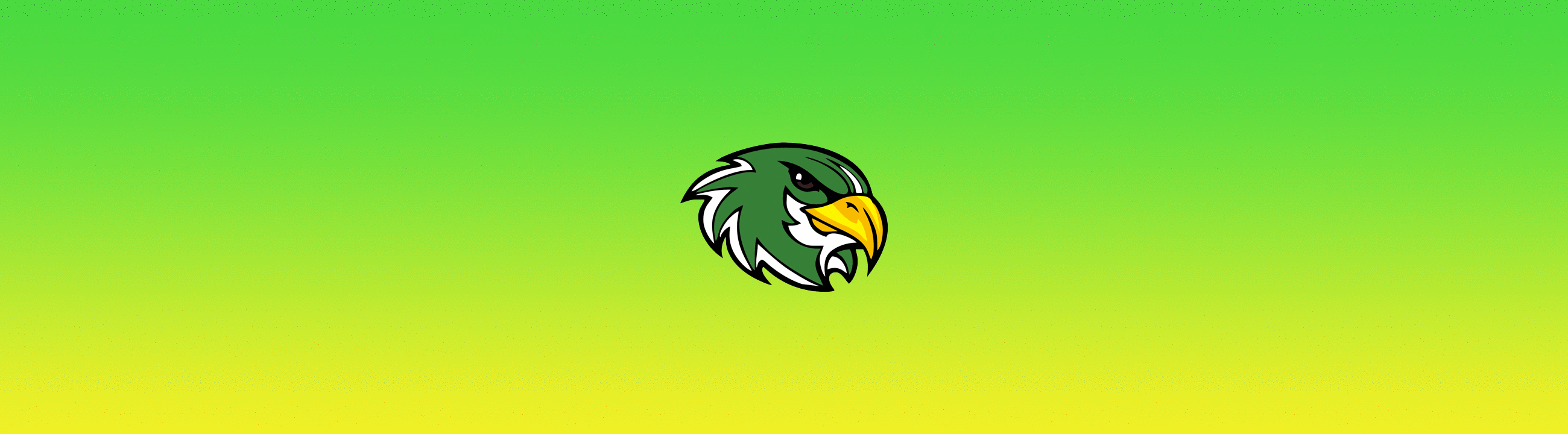 Leicester Falcons