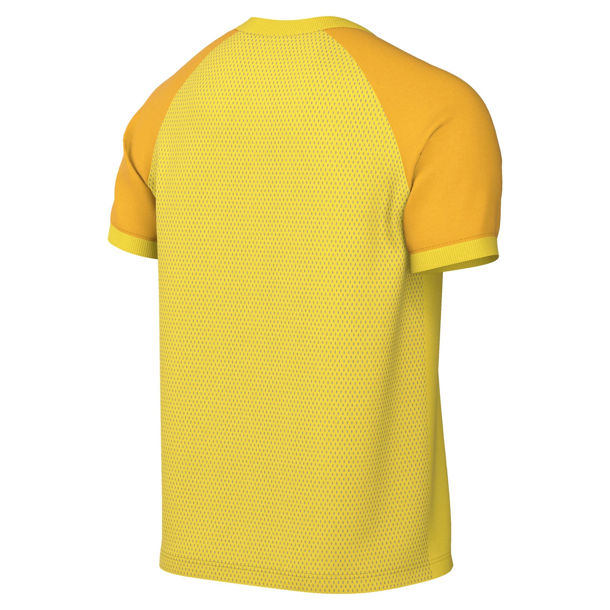 Nike Trophy VI Jersey