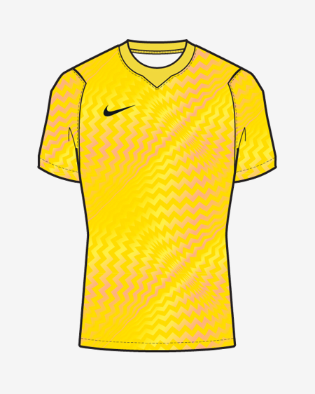 Nike Gardien VI Jersey