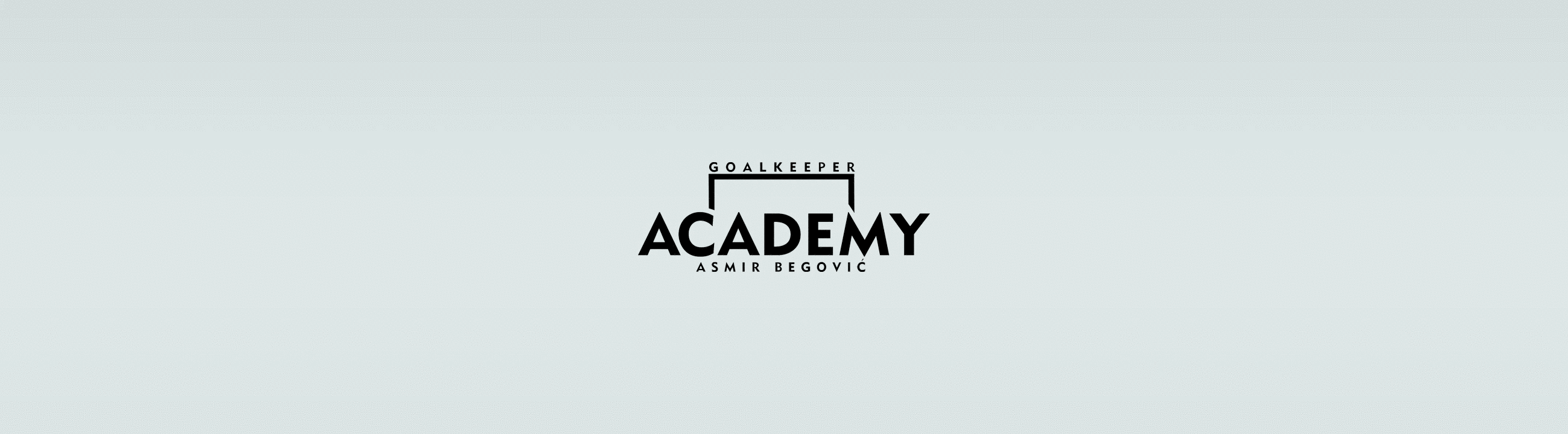 Asmir Begovic GK Academy