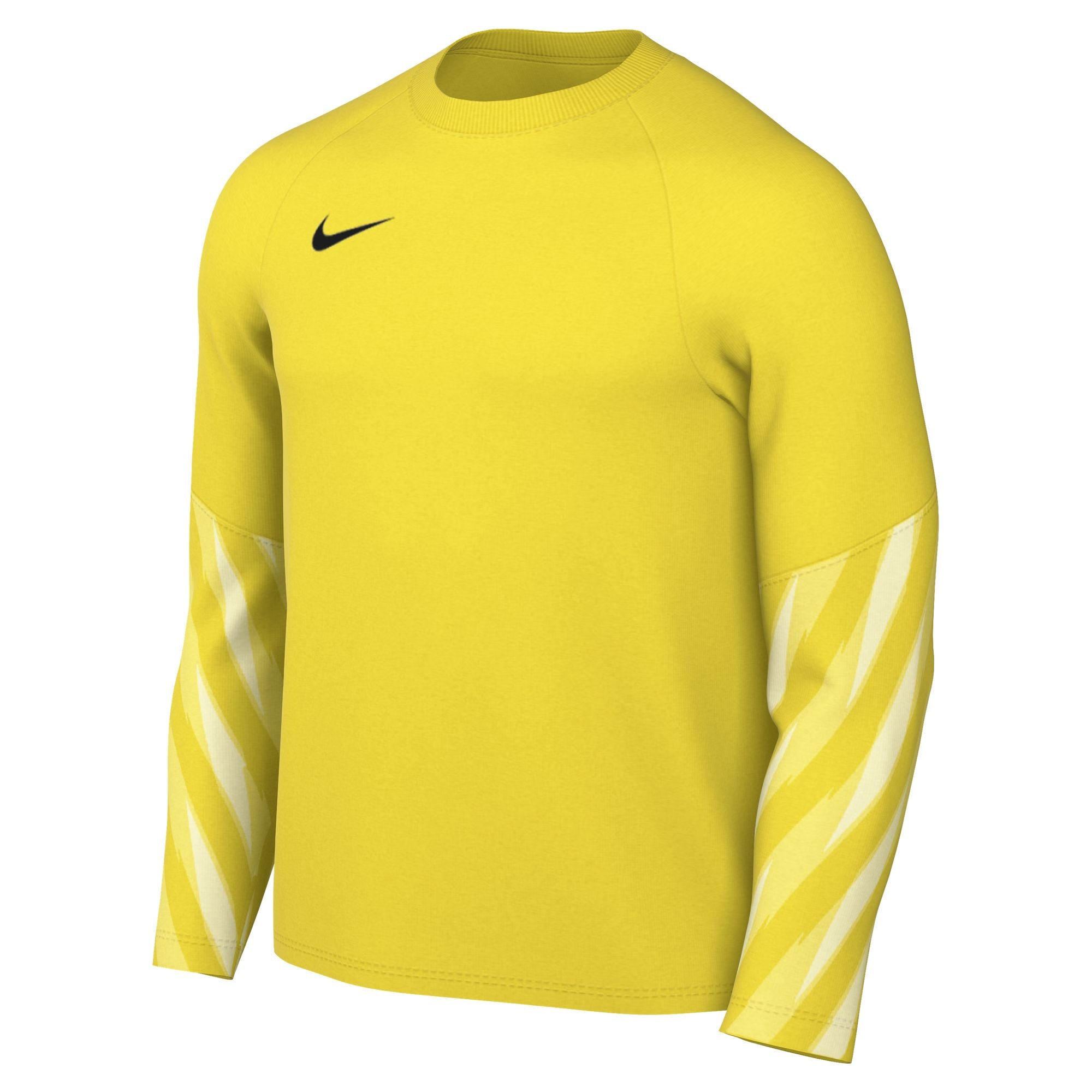 Nike Park V Jersey