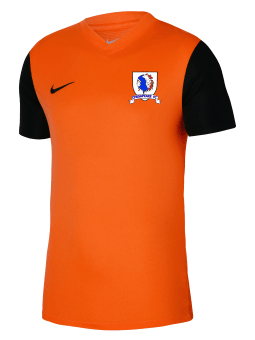 Chesapeake - Tiempo Adult Jersey (DH8035)