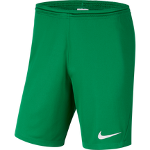Park III Knit Short (Youth)