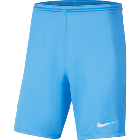 Park III Knit Short (Youth)