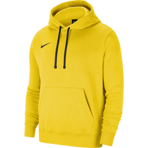 Team Club 20 Hoodie (Youth)